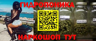 прущие крисы Дубна