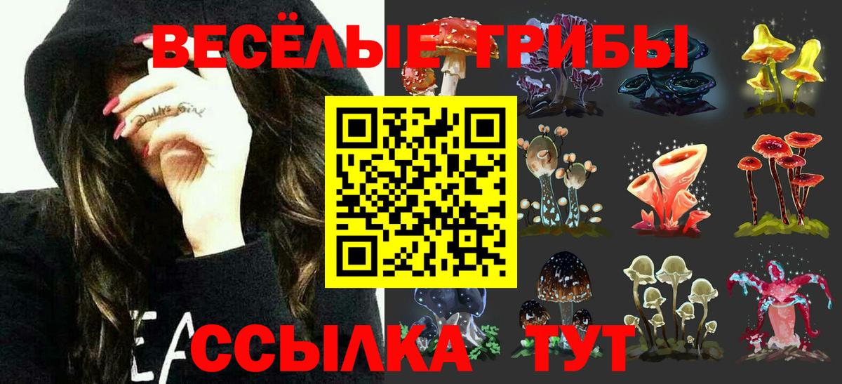 Галлюциногенные грибы Psilocybine cubensis Лангепас